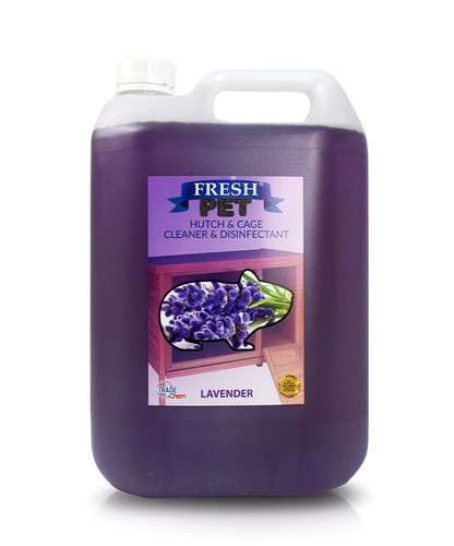 Rodent disinfectant rabbit - rodent,